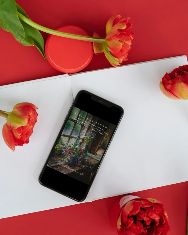 ziola-dla-zdrowia-ebook-2.webp