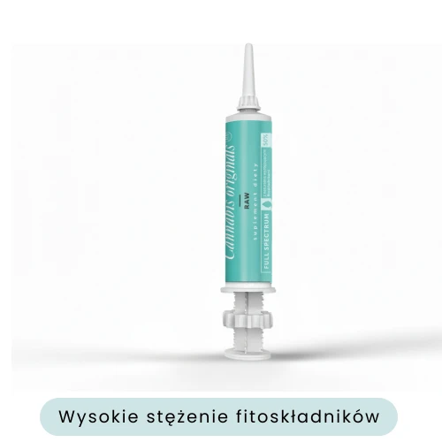 Pasta CBD RAW 15% – Najwyższa Koncentracja Surowej Mocy.webp